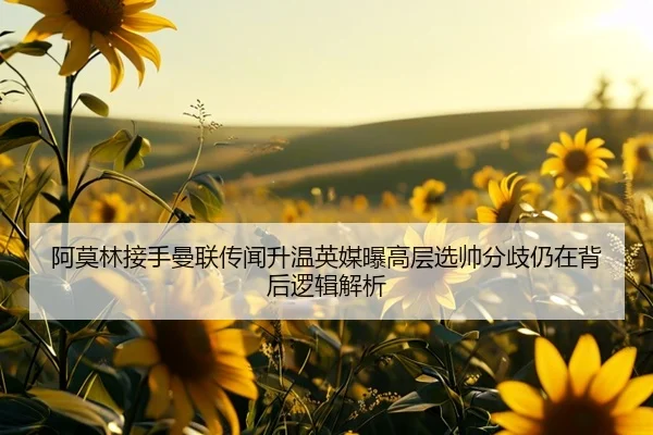 阿莫林接手曼联传闻升温英媒曝高层选帅分歧仍在背后逻辑解析
